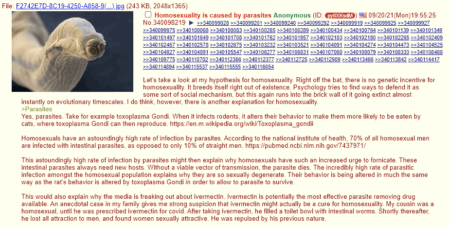 4chan-homosexuality-caused-by-parasites.png