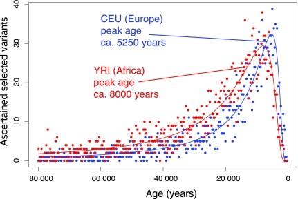 Most human allelles originated in the last 20000 to 10000 years.