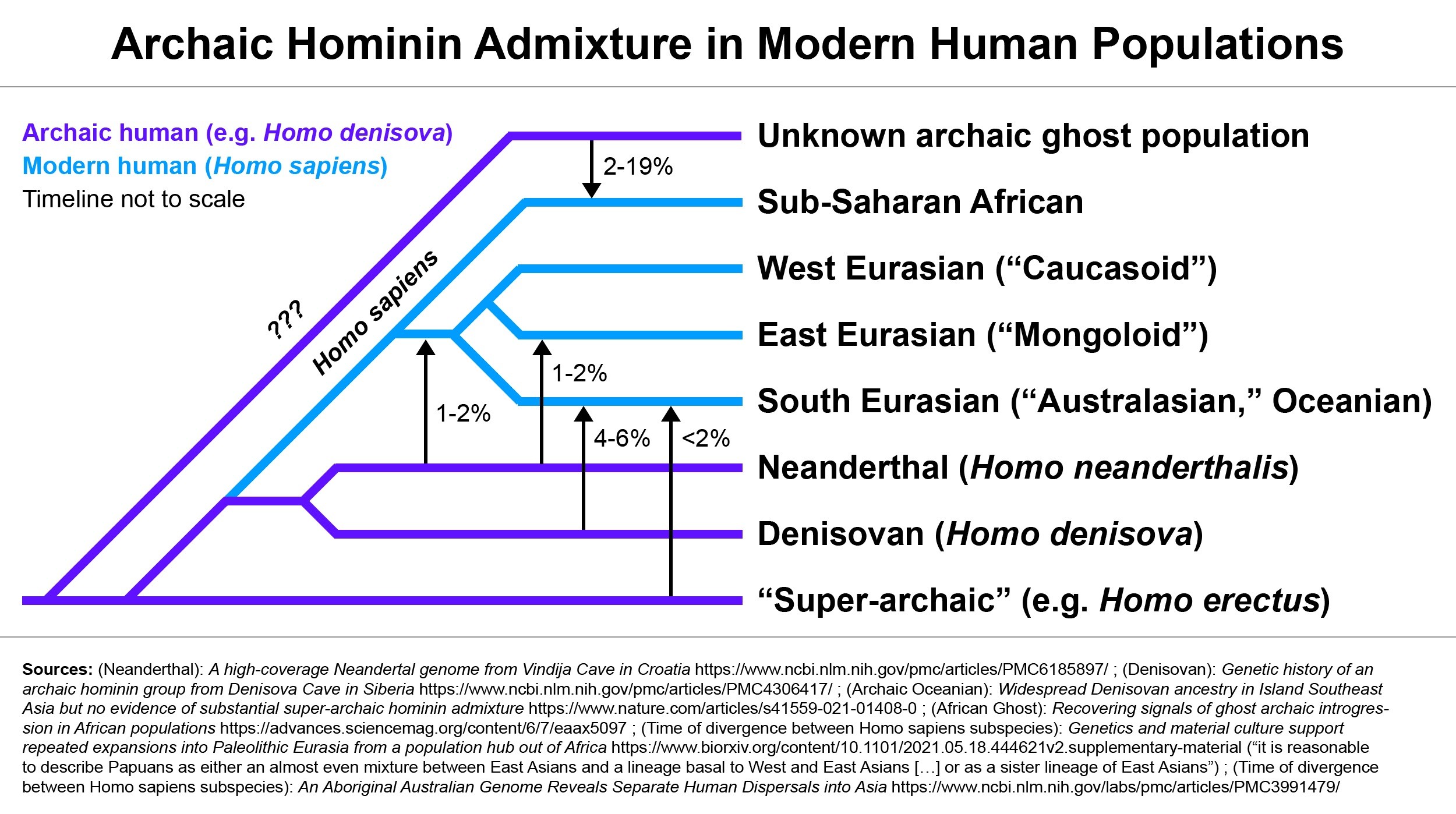 Diagram of archaic admixture in modern humans