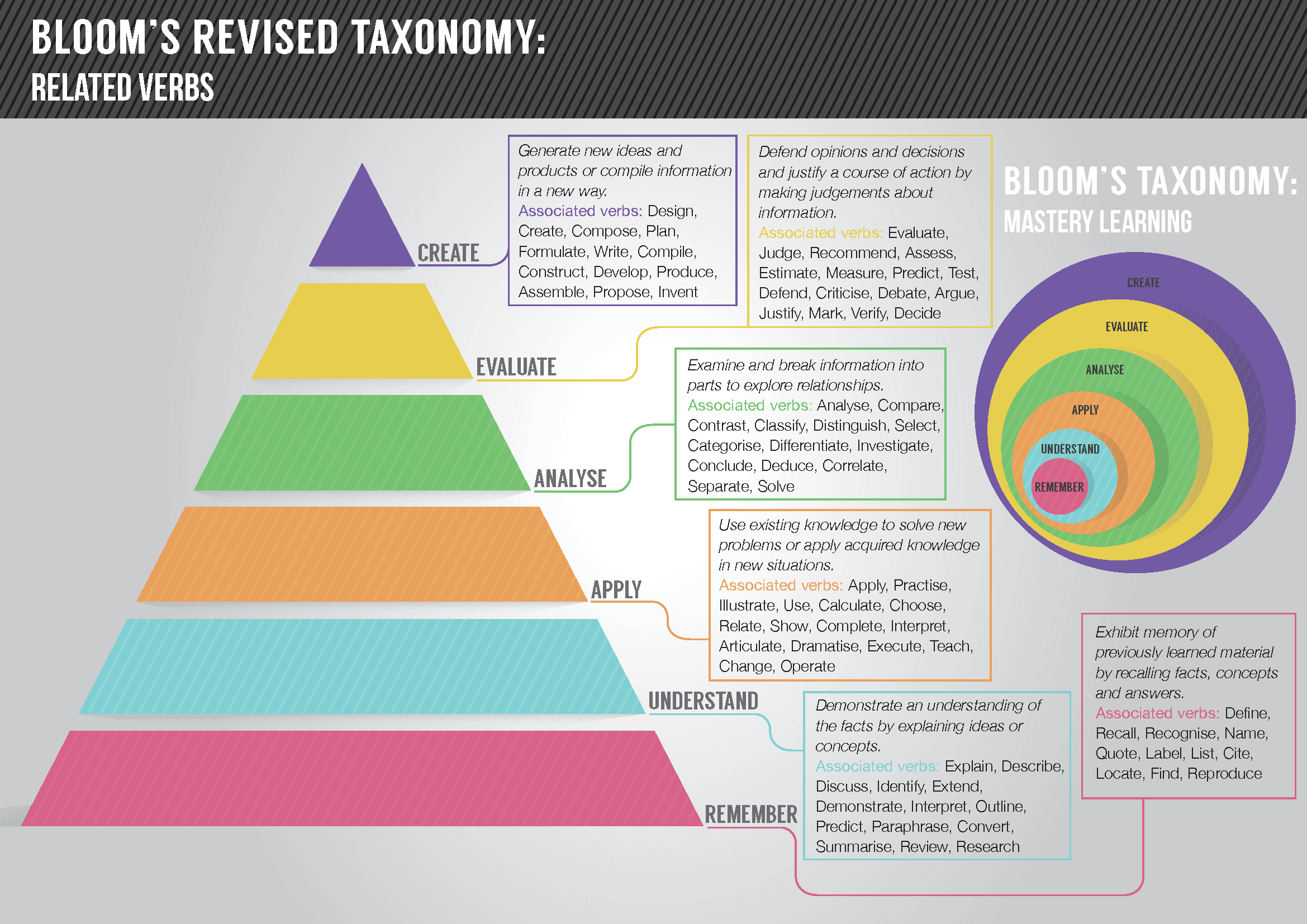 Bloom's Taxonomy Infographic.
