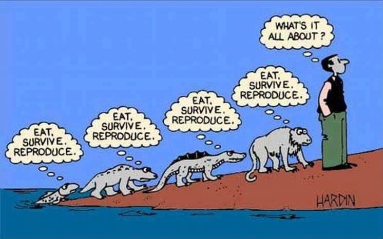 Humans are asking existential questions that no other animal asked.