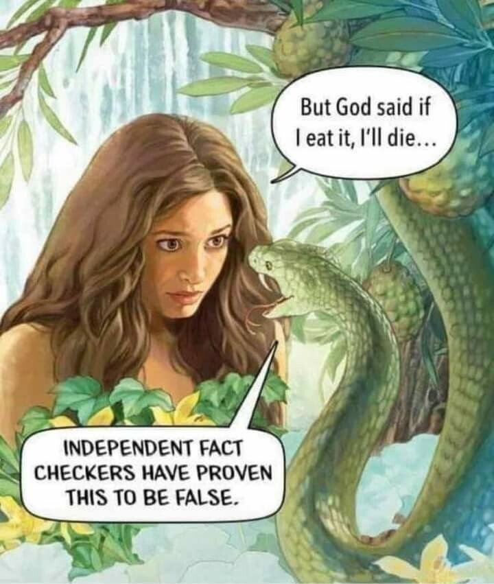 independent-fact-checkers-meme.jpg
