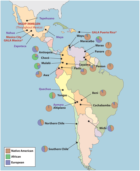 Pie charts for racial genetics of latin american countries