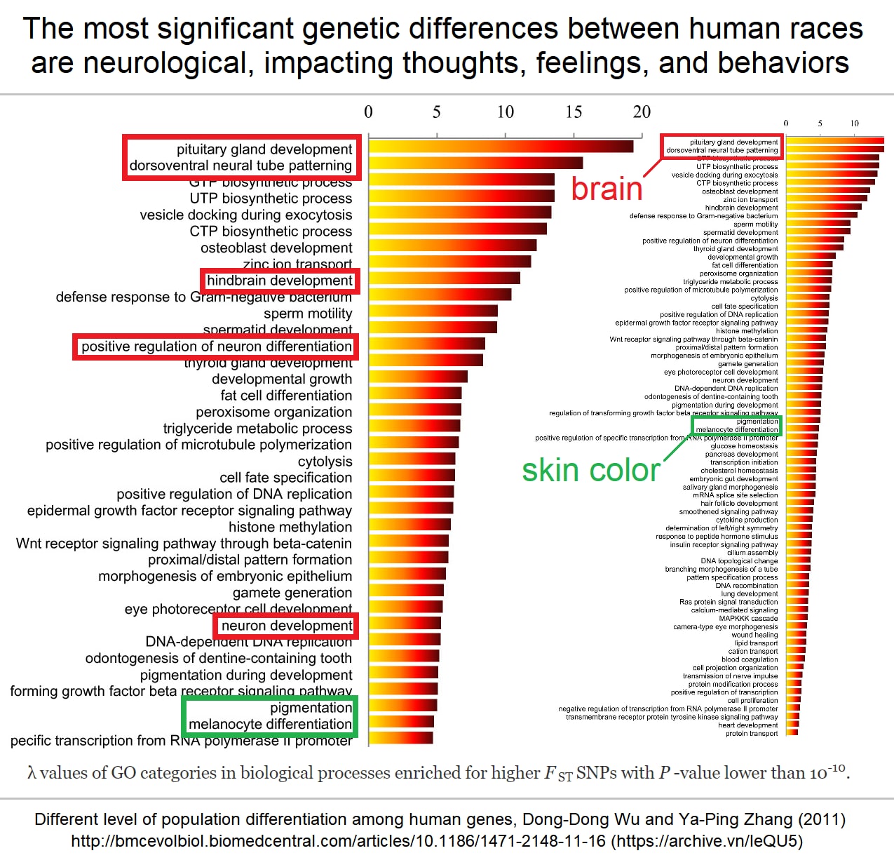 The most significant genetic differences between races are mental traits.