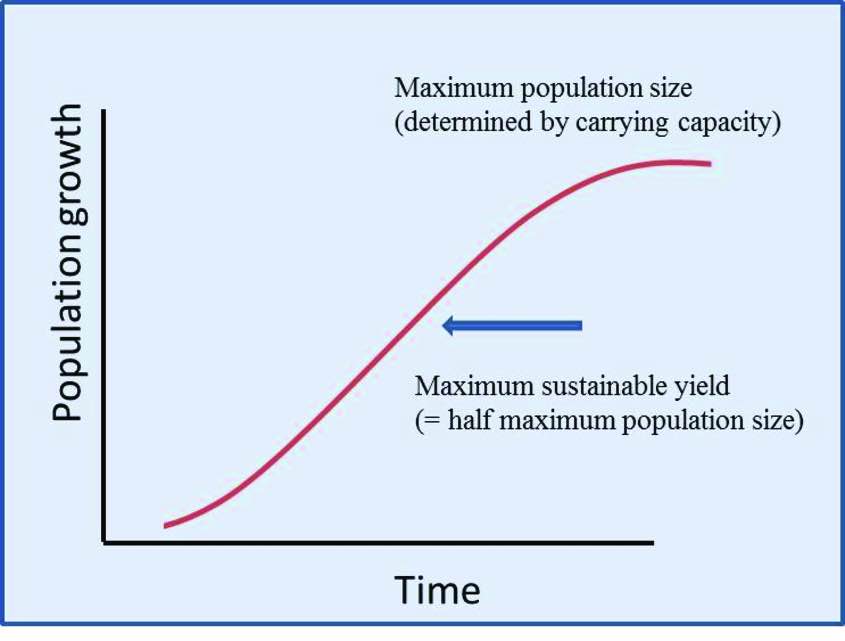 Graph of reproductive rate of organisms, based on the population size.