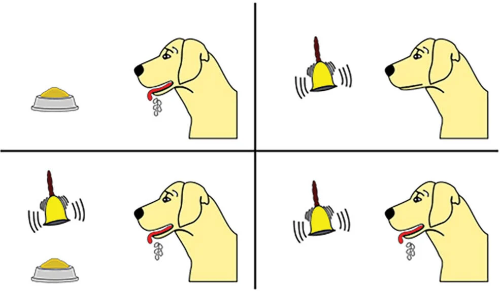 Pavlov dog food and bell ringing experiment comic width: 500