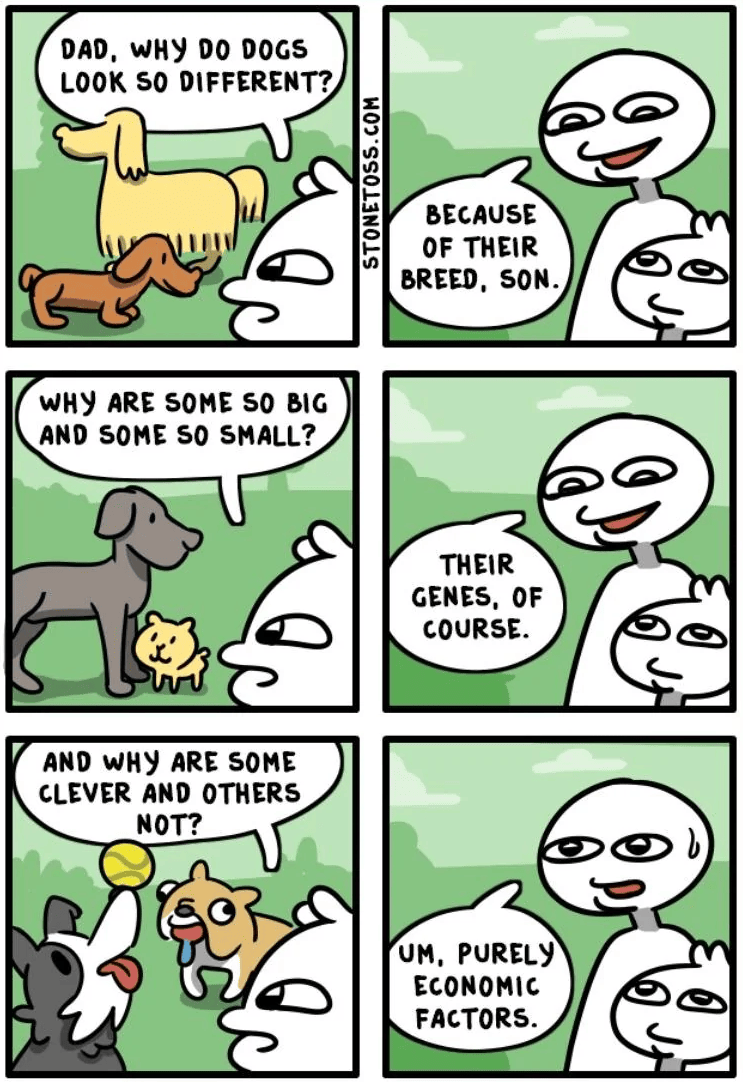 A comicstrip by Stonetoss about traits and genetics in dogs.