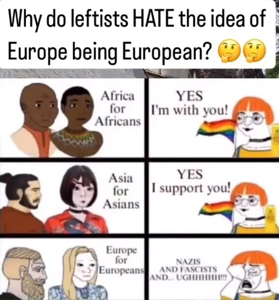 Wokists have double standards for ethnostates