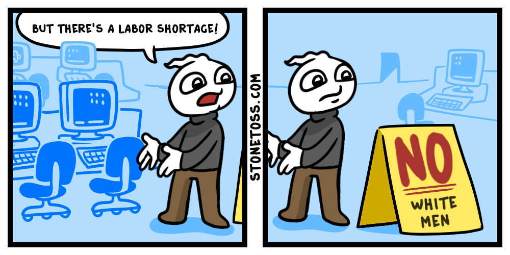 Tech labor shortages caused by demographic quotas Stonetoss Comic