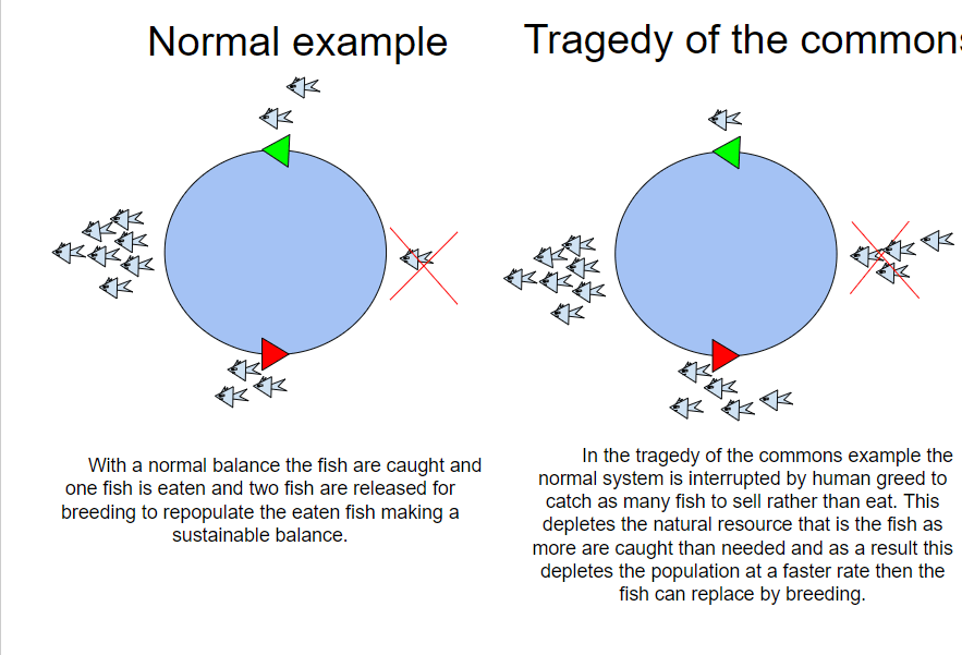 Tragedy of the Commons Model