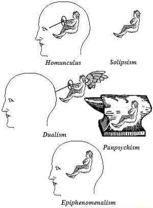 Visual representation of different mind-body philosophies.