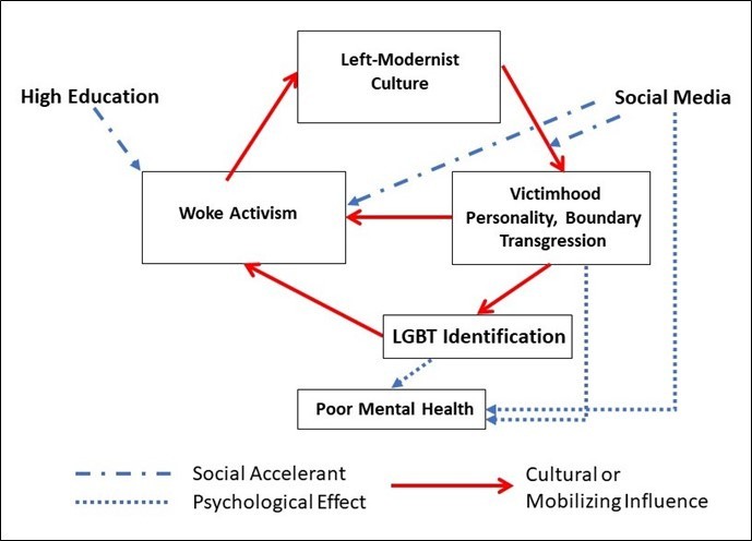 Wokism And Mental Health Causal Diagram